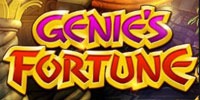 PLAY GENIES FORTUNE CASINO GAME (SLOT MACHINE) FOR FREE